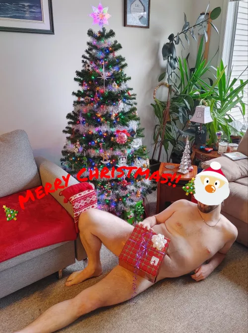 Merry Christmas and Happy Holidays by MaplePunisher