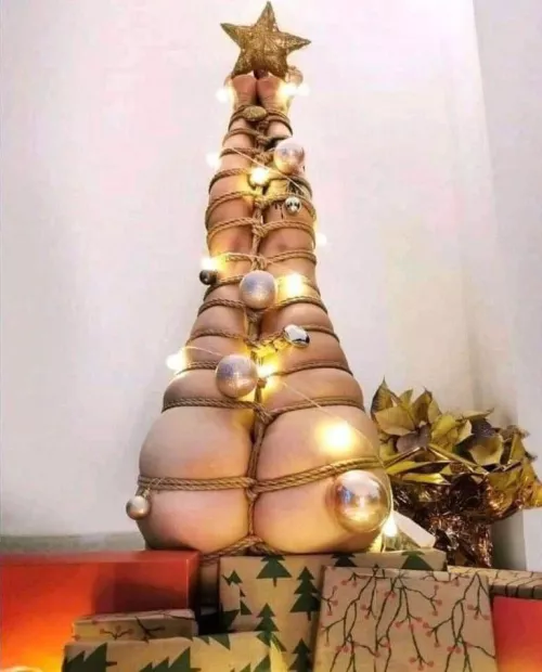 Merry Christmas everyone! by barelysentient-