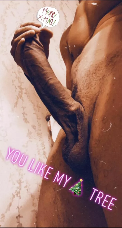 Merry Christmas by MixedBBC-Daddy