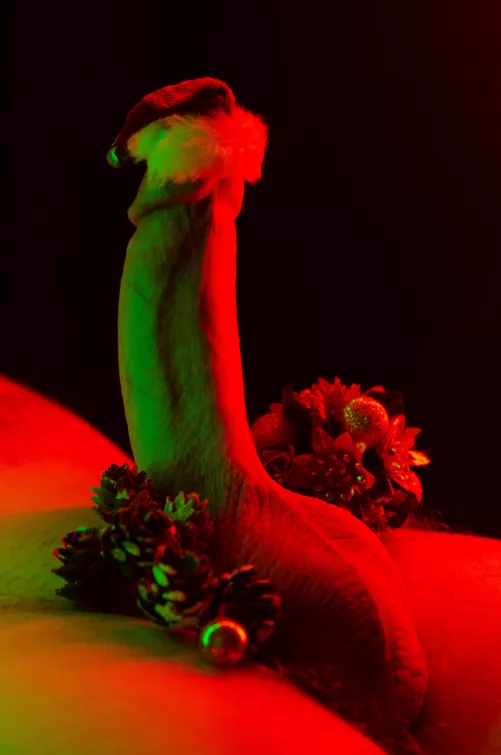 Merry Christmas to all by creativedickpics