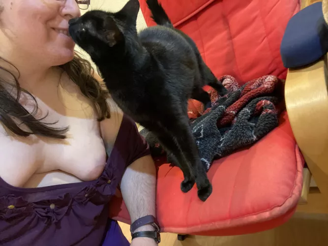 Merry Christmas to those who celebrate it. 🎄 by Stillinmetamorphosis