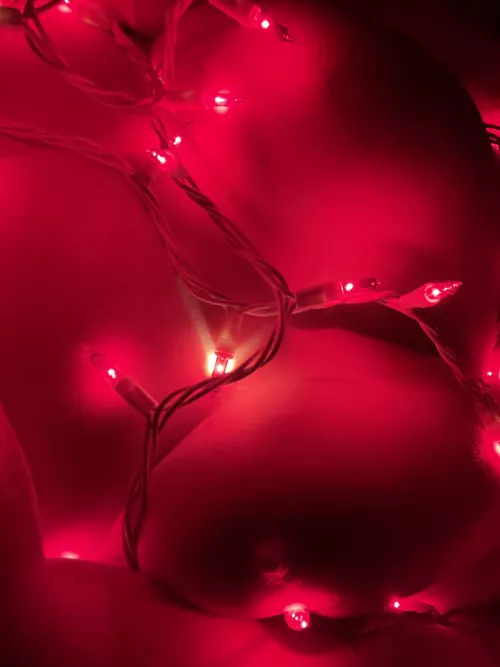 ✨merry Christmas ya filthy animal✨ by cassidydawnxi