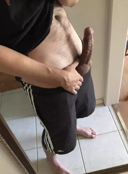 Message for more by Kneebsy