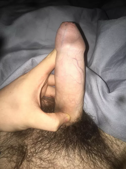 Message me boy or girls I’m horny by George2Trappy