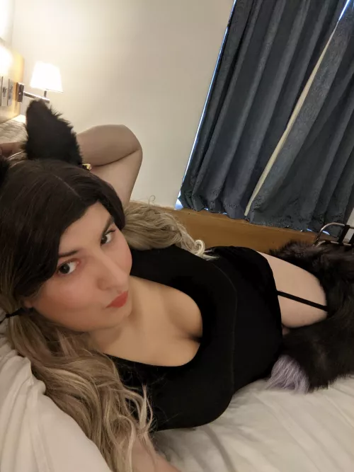 Meuw!! 🐈‍⬛. Hope you're having an awesome day! by Nameless-Nighthawk