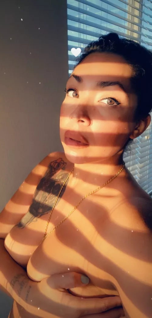 Mexican/Danish/Spaniard by Commercial-Silver-26