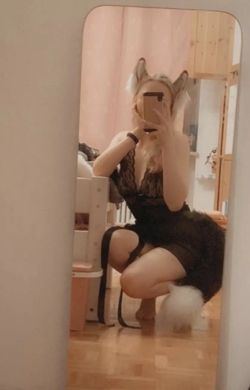 Miau 😻 posted by LittleKitten1208