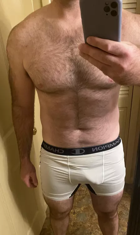 Mid day attention seeking by GordonGordy