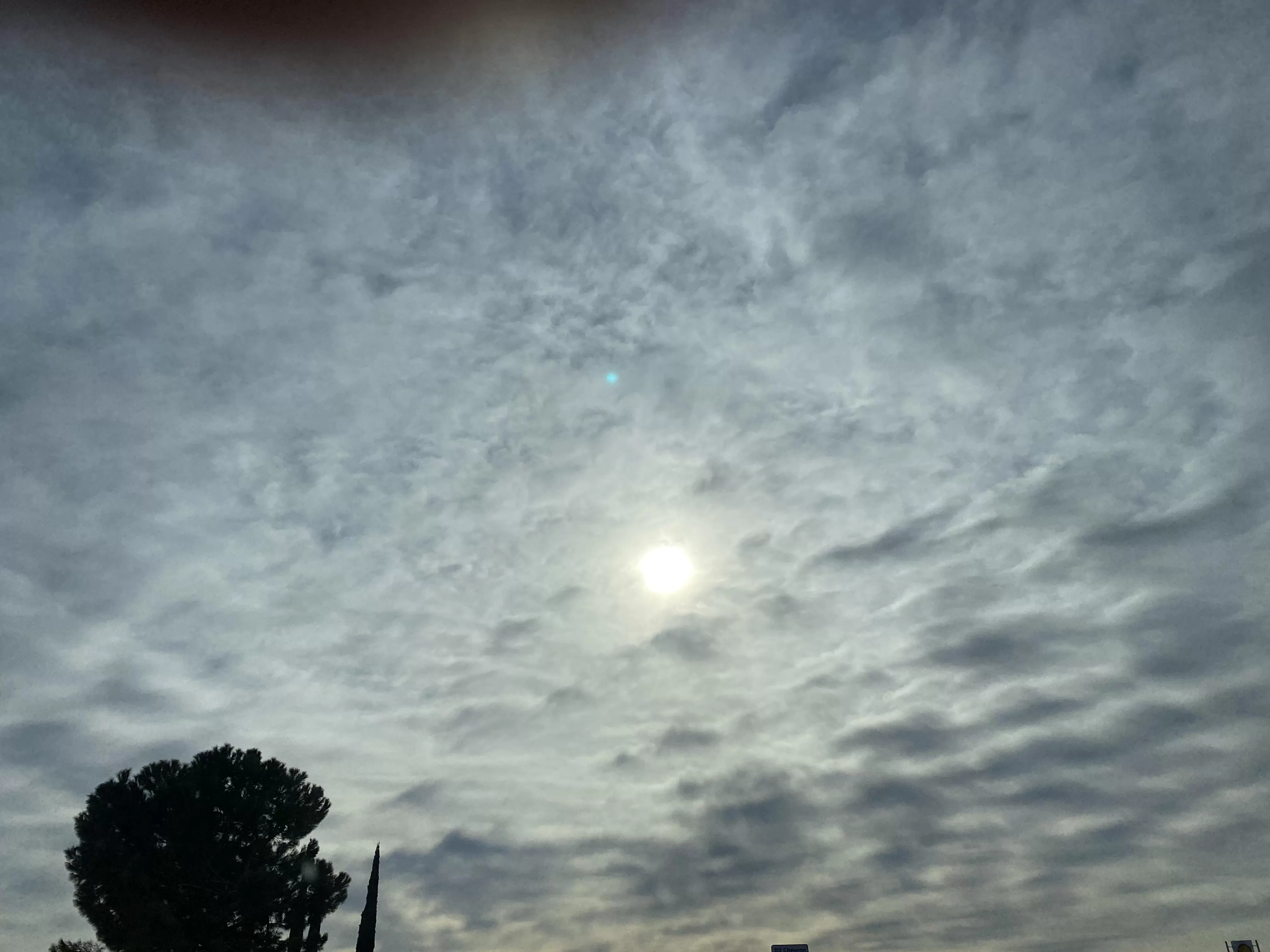 Midday clouds posted by Waste-Wrap-1919