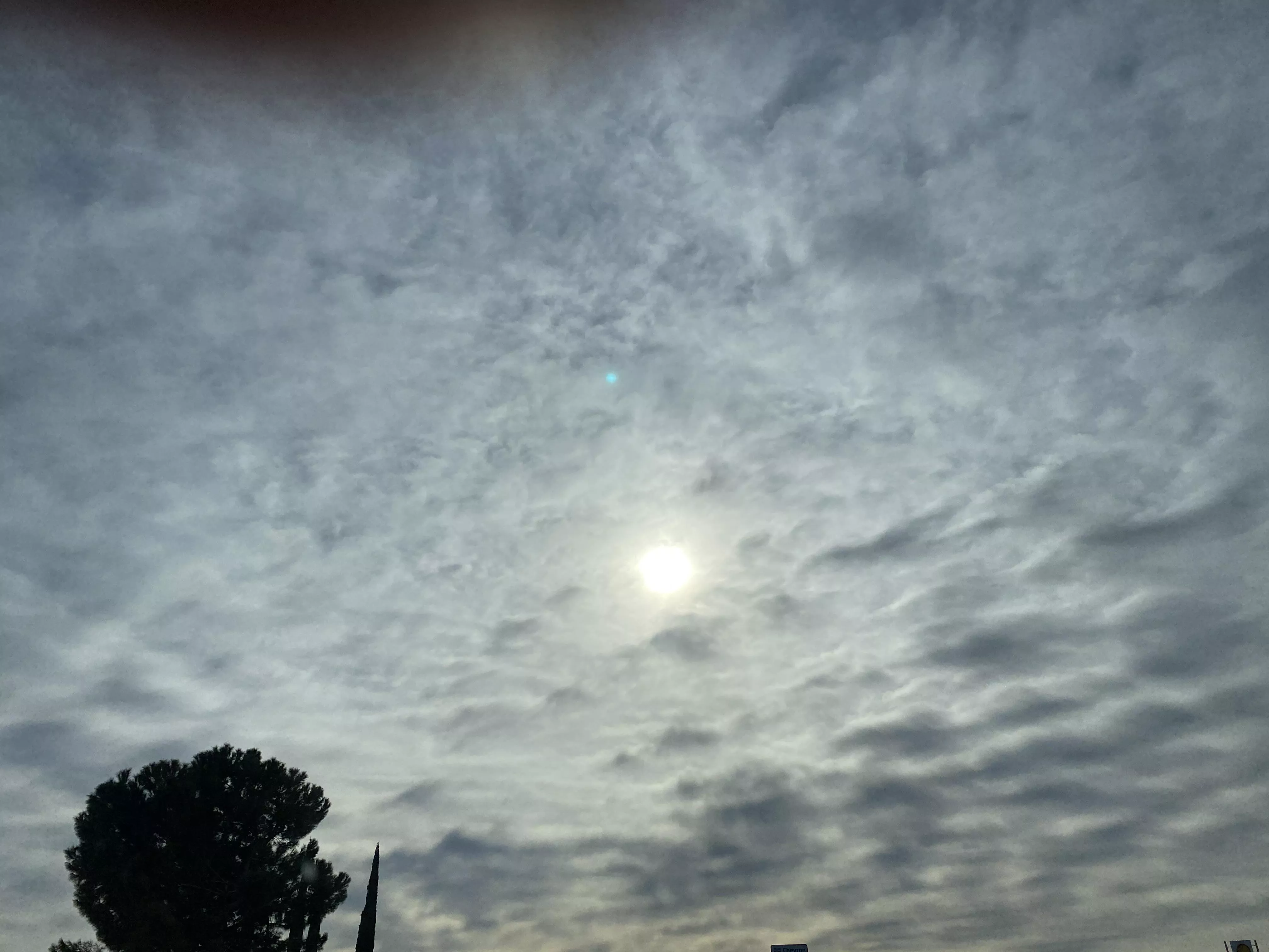 Midday clouds posted by Waste-Wrap-1919