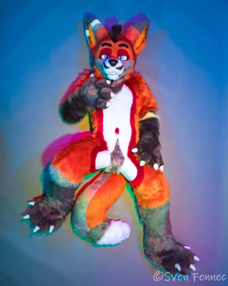 Middle of the week and all I want to do is be a Fox and lay. How about you all? I hope the rest of your week is great ❤. by TheSvenFennec