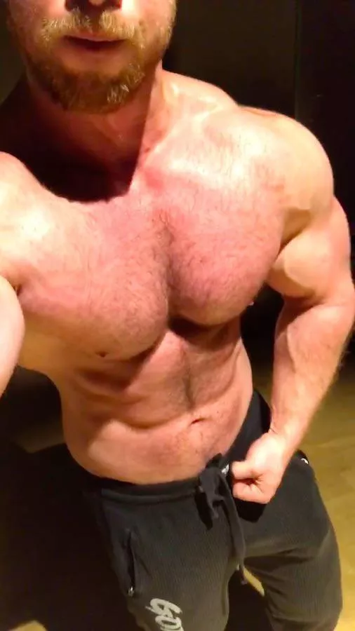 Mid-workout posted by GermanMuscleBeast