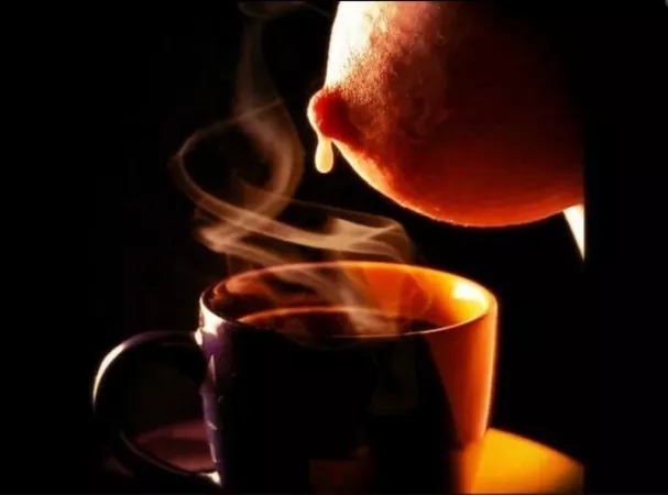 Might be stretching the definition here by sidratul