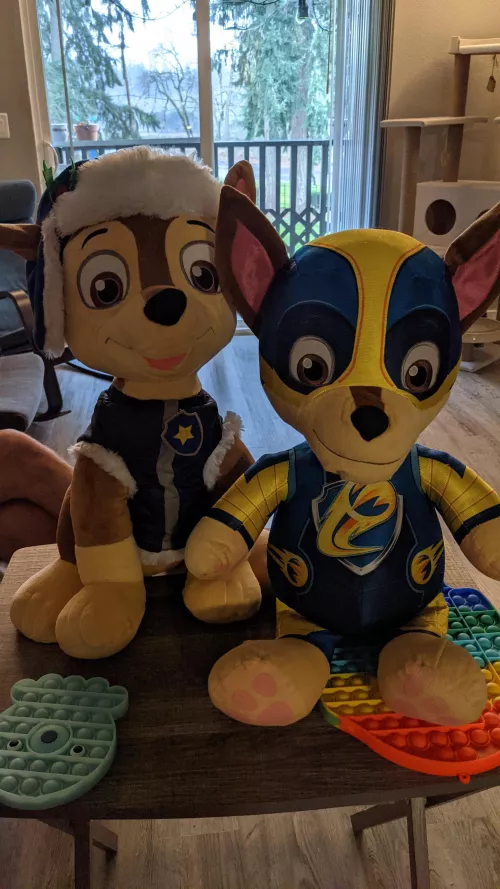 Mighty Chase (left) Christmas Chase (right) I got Christmas chase from Walmart today, last one. Looks almost exactly like Halloween Chase that I got from eBay. Not really a cuddling stuffy, he's a holiday greeter. Mighty chase is a stuffy I got from eBa by skydlboi18