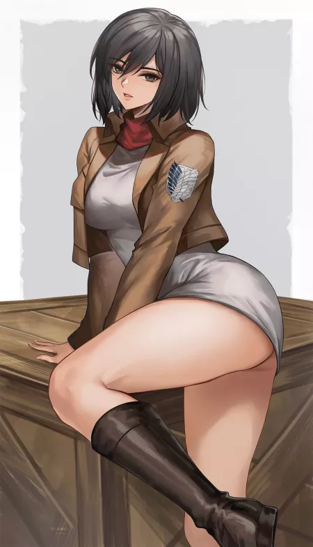 Mikasa [Attack on Titan] by CheetahSperm18