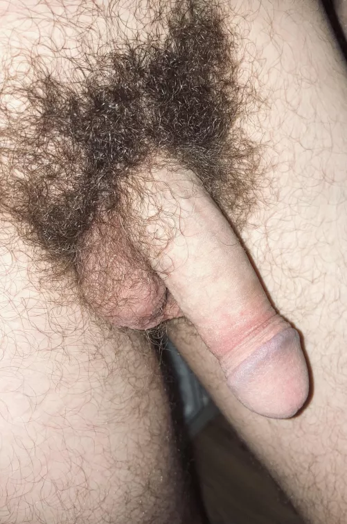 mind the bush by chestnut46