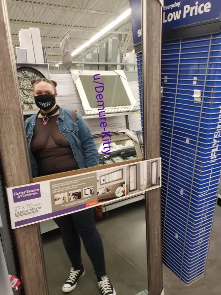 Mirror, mirror on the shel[F] [OC] by Demure-Kitty