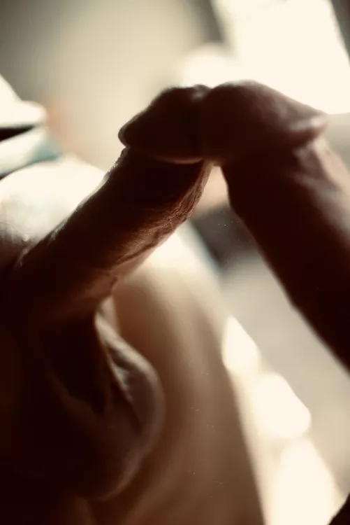 Mirrors and sunlight by ChrisWolfpack95