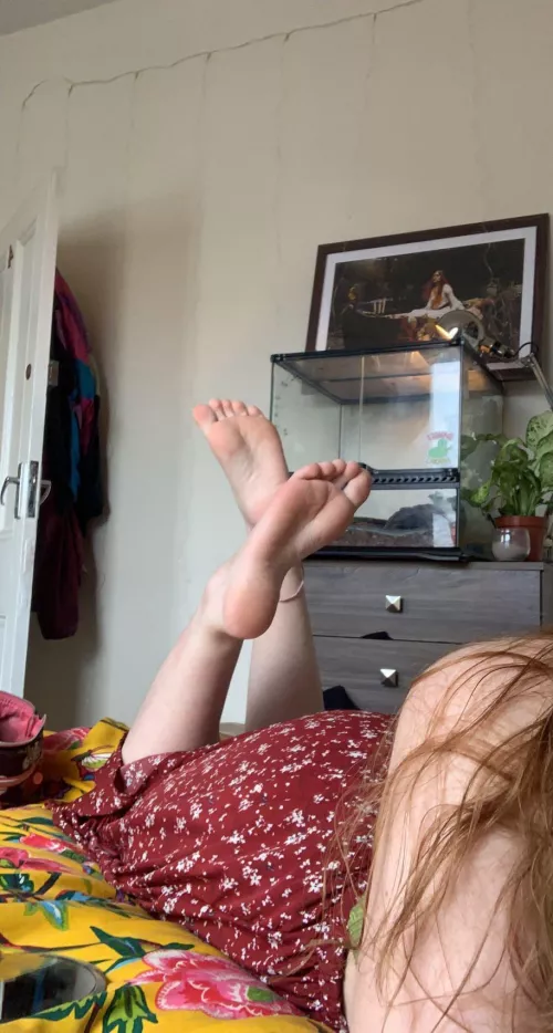 Missed you guys!! by honeysuckletoes