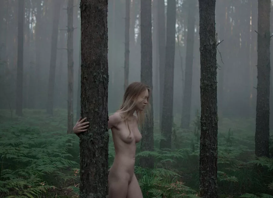 Mist & Shadow posted by paredocks