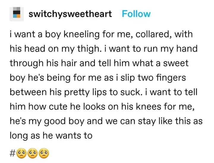 Mmm.. I hope someday my pup will let me collar him~ ❤️ I want to tease him until he's begging for more~ posted by MissSapphireMommy4u