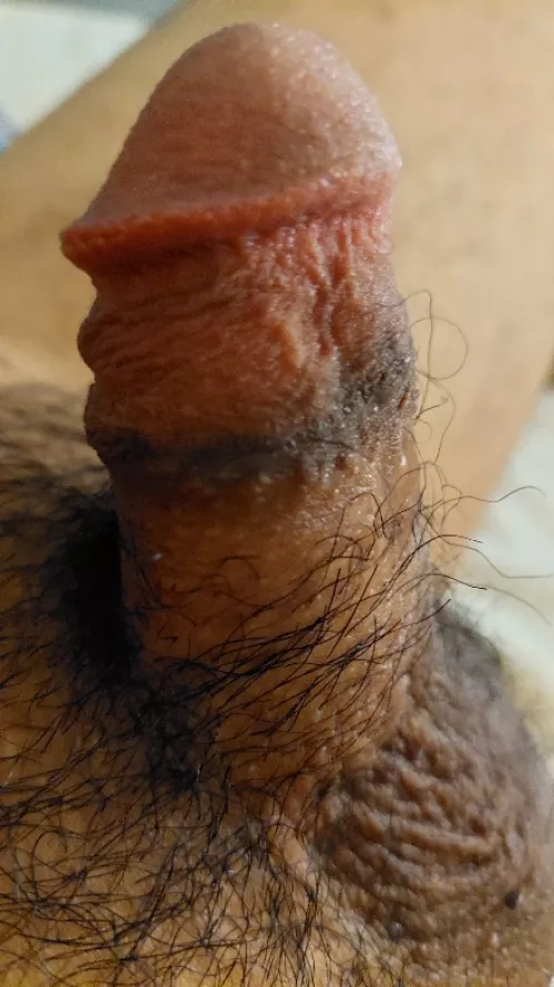 Mmmmmm... suck me please (27) by Ok_France_219