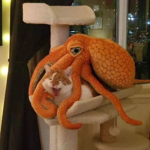 Mods are asleep! Post pussies wrapped in tentacles! (other) posted by aFatBlunt