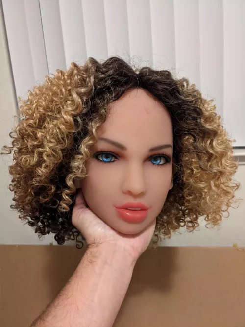 Molly has new wig. Stay tuned for photo op this next week. If all goes well, it'll be a doozy 😏 by energizerturtle2