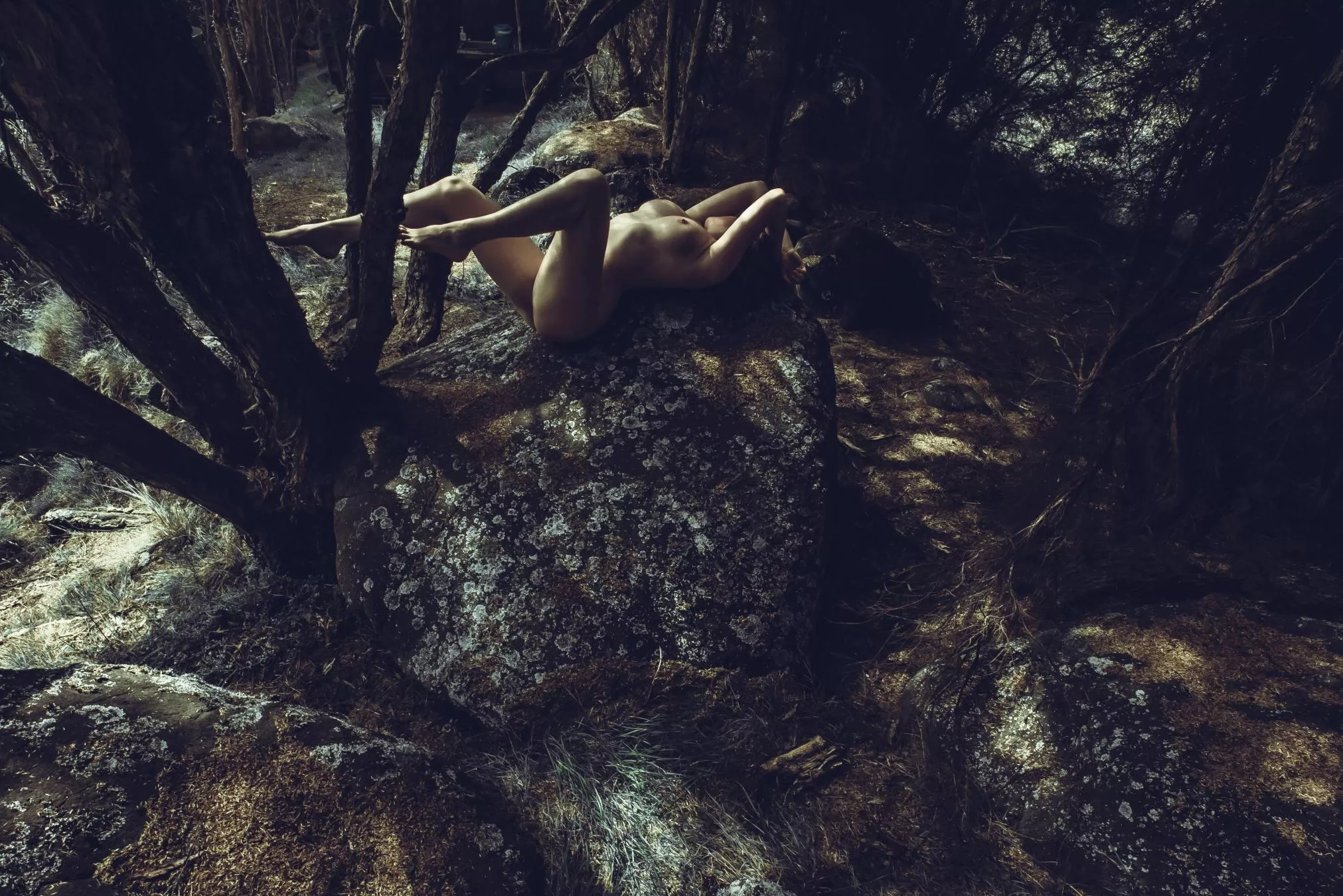 Moments posted by Poseurs