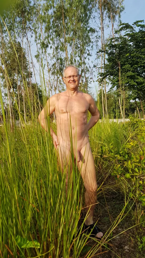 Monday - early in the morning in the reeds. Have a nice start to the week. by znarf-fesoj