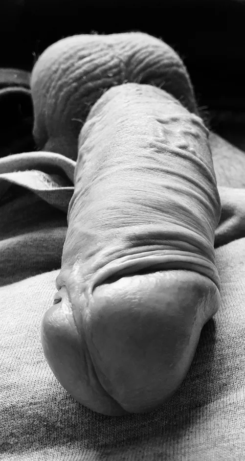 Monday morning, may as well post! by PlayandRide