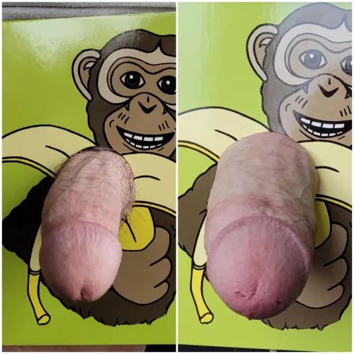 Monkey business 🙊🙊 Hubby u/Ddilfy and I... by jackoffer752