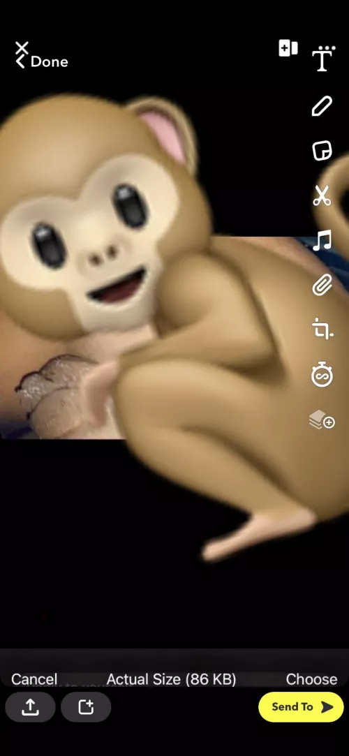 Monkeys c*on meet who want it by Due_Cryptographer605