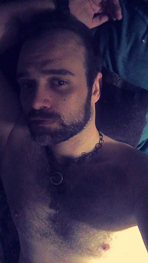 Moo cow by jbulbabulbasore