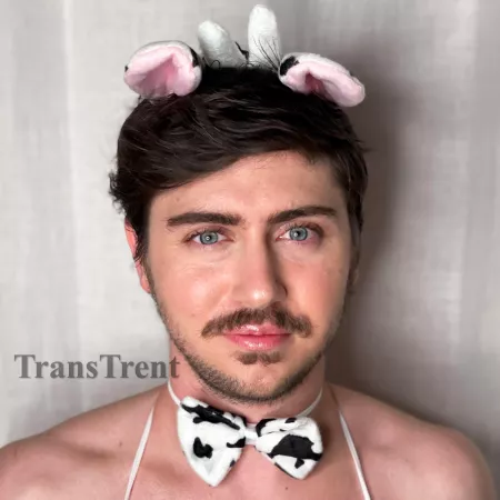 Moo 🐮 by TransTrent