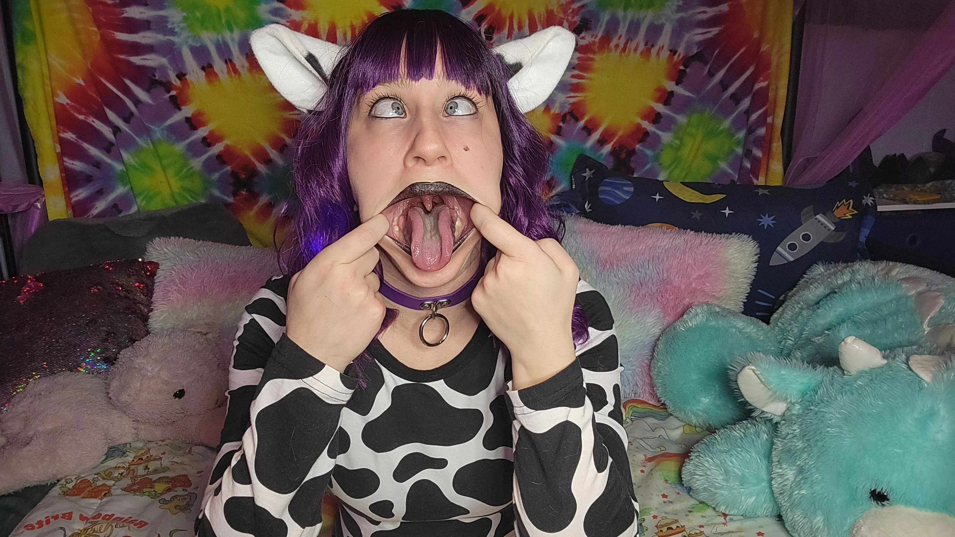 moooo posted by misskittylyn