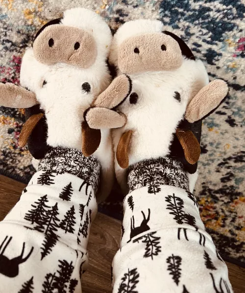 Mooooorning 🐄 by somedumbbbitch