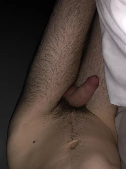 Morning by No_Log1698