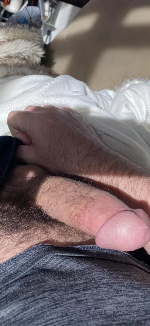 Morning boner hairy cock by tigeranthony