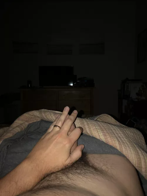 Morning bush by gaythrowaway1020