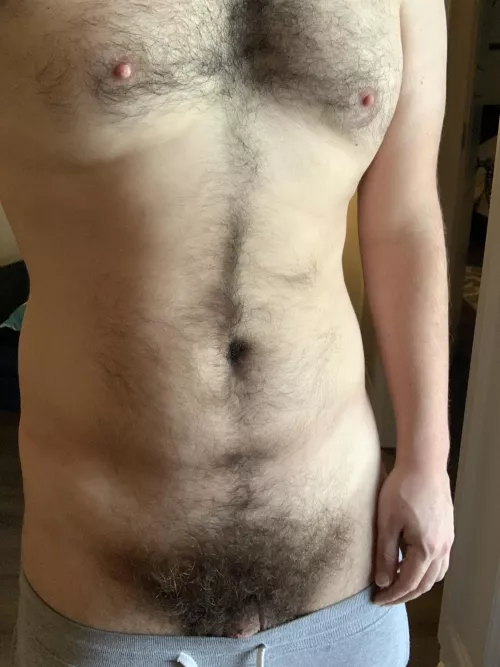 Morning bush by BriGui25