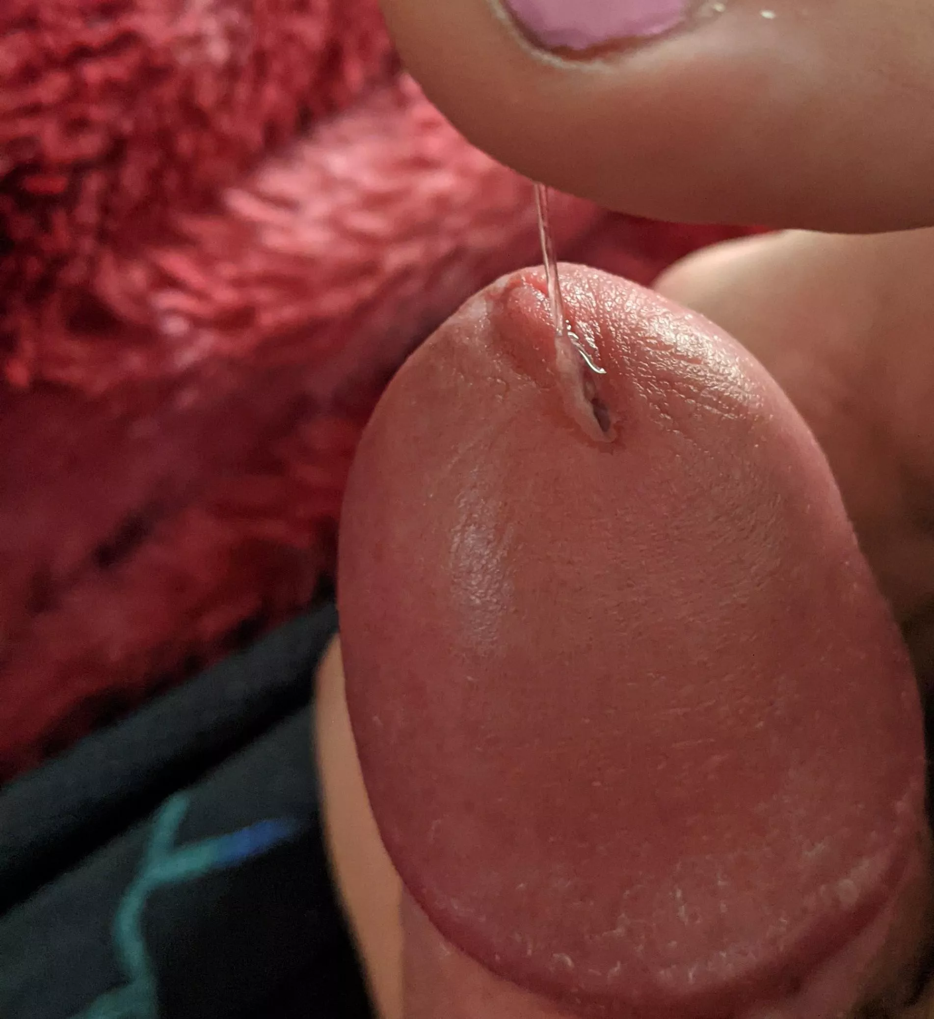 morning dew posted by ALittleBitShyGuy