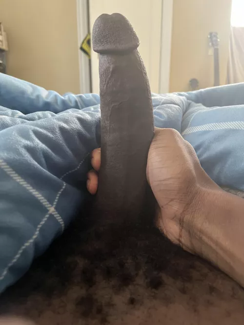 morning by bleusuniooo