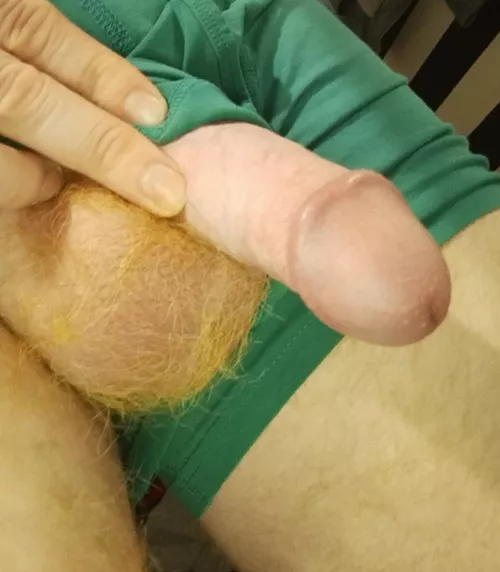 Morning glory by ukcutginge