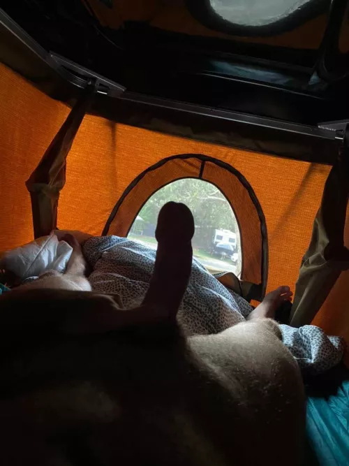 Morning glory camping is a mood by vector_tempo