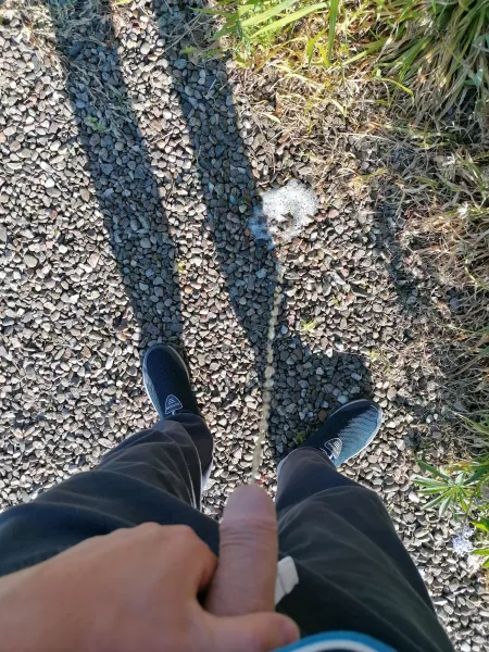 Morning by ceanothis