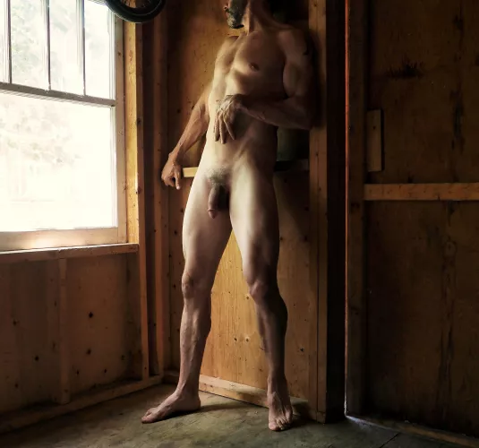 Morning light by inkey505