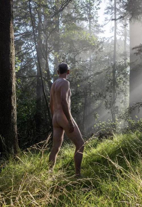 morning light by beachandforestfun