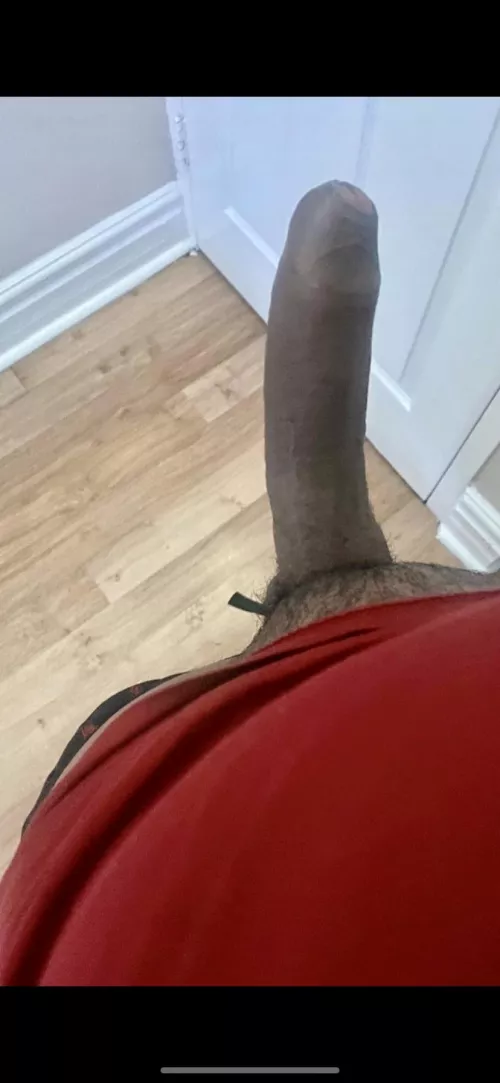 Morning Log by NeatwayGJ