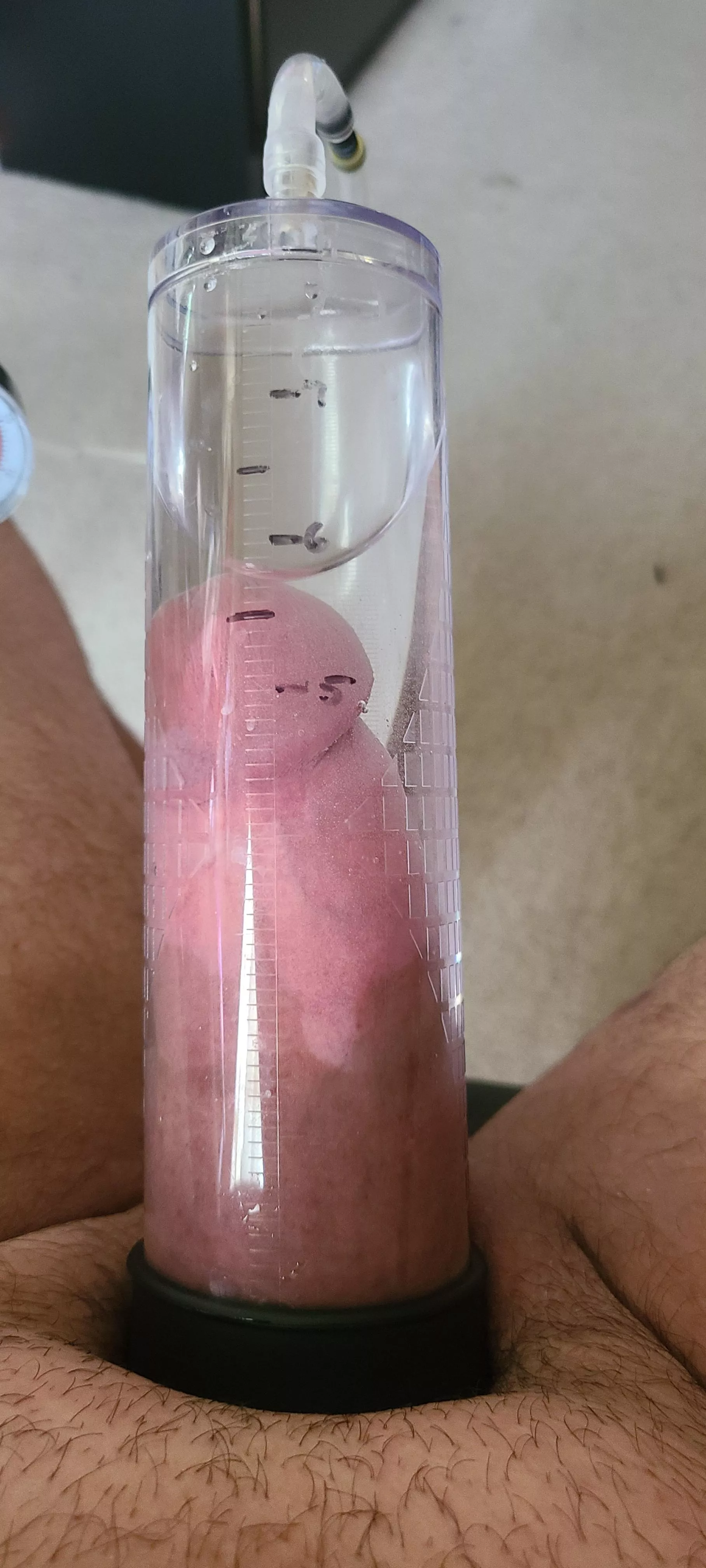 Morning pump posted by Deep-Seaworthiness65